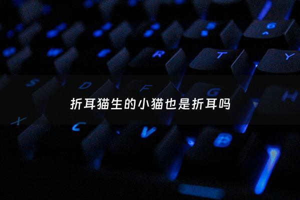 折耳猫生的小猫也是折耳吗 - 折耳猫生出来是怎么样的