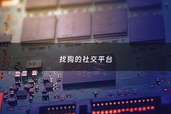 找狗的社交平台 - 专门找狗