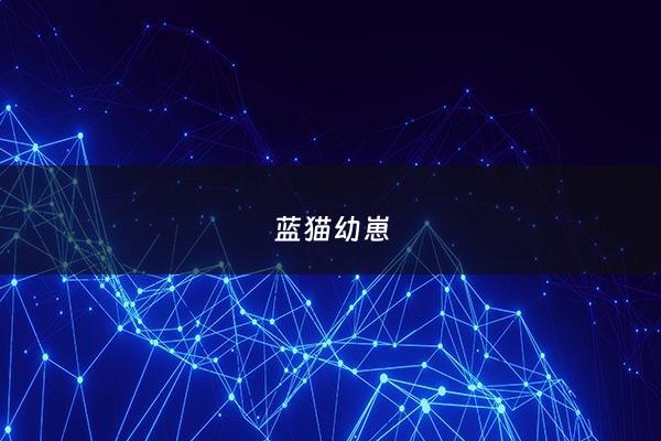 蓝猫幼崽 - 蓝猫幼崽***一只