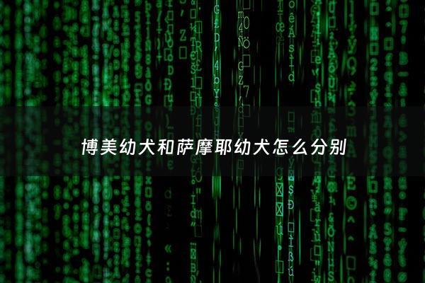 博***犬和萨摩耶幼犬怎么分别 - 博美和萨摩耶怎么区分