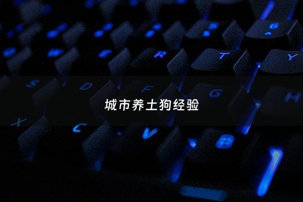 城市养土狗经验 - 城市人养土狗