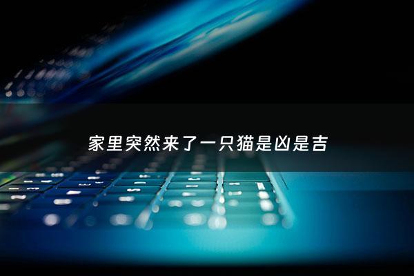 家里突然来了一只猫是凶是吉 - 如果家里突然来了一只猫代表什么