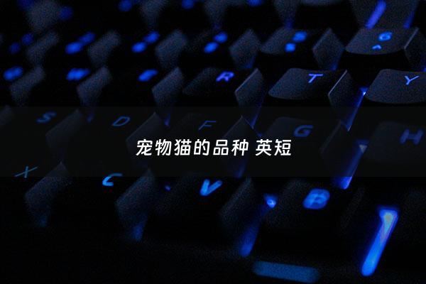 宠物猫的品种 英短 - 英短宠物名