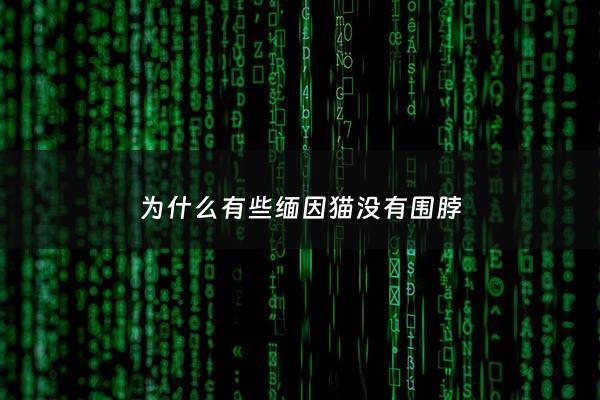 为什么有些缅因猫没有围脖 - 缅因猫为什么不好养