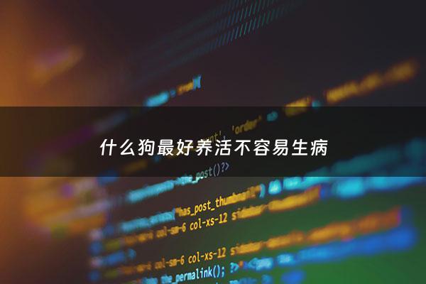 什么狗最好养活不容易生病 - 什么狗不难养