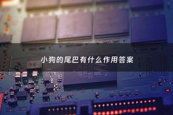 小狗的尾巴有什么作用答案 - 小狗的尾巴的作用分别是什么