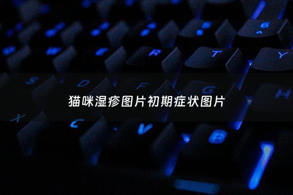 猫咪湿疹图片初期症状图片 - 猫咪湿疹图片和症状有哪些?