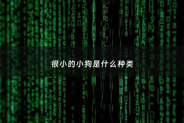 很小的小狗是什么种类 - 很小的狗叫啥