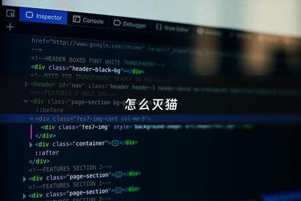 怎么灭猫 - 怎么灭猫身上的跳蚤