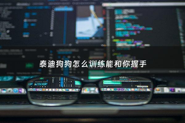泰迪狗狗怎么训练能和你握手 - 泰迪犬怎么训练握手