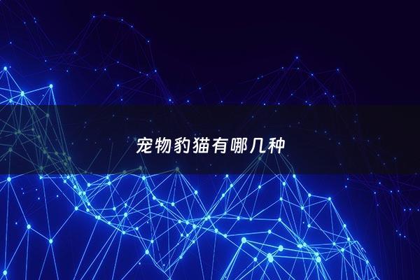 宠物豹猫有哪几种 - 豹猫的品相