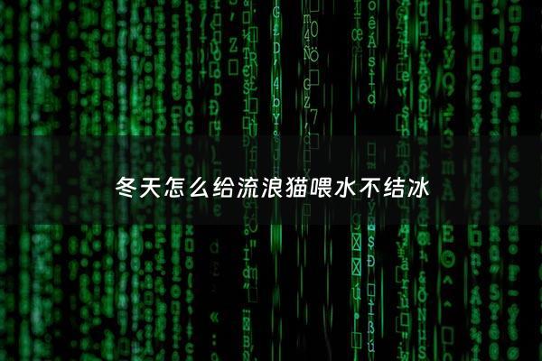 冬天怎么给流浪猫喂水不结冰 - 流浪猫冬天饮水怎么办