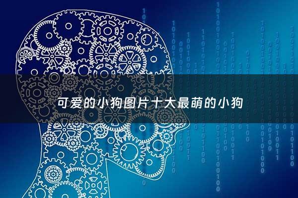 可爱的小狗图片十大最萌的小狗 - 可爱的小狗图片超萌 壁纸