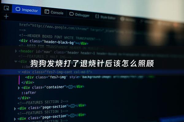 狗狗发烧打了退烧针后该怎么照顾 - 狗狗发烧打了退烧针还是在发烧
