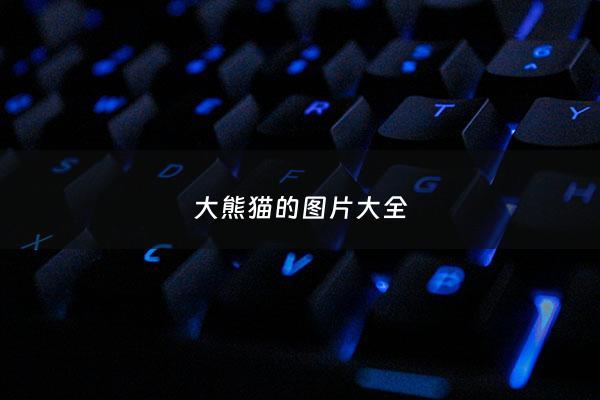 大熊猫的图片大全 - 大熊猫的图片来一张