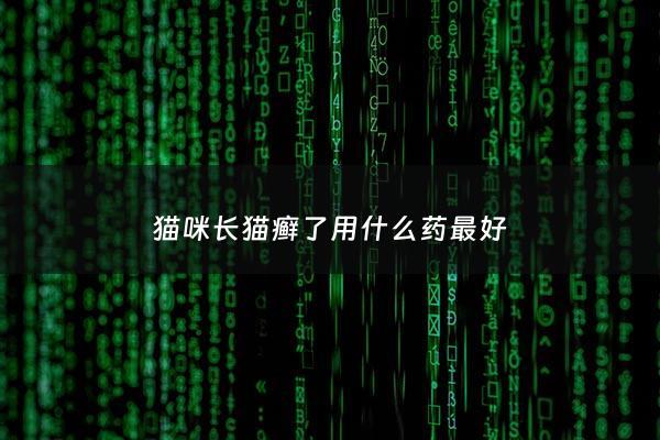 猫咪长猫癣了用什么药最好 - 猫长猫藓用什么药