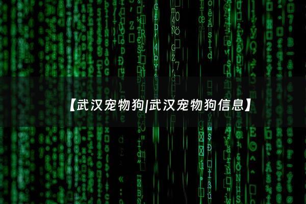 【***宠物狗|***宠物狗信息】 - ***宠物犬市场