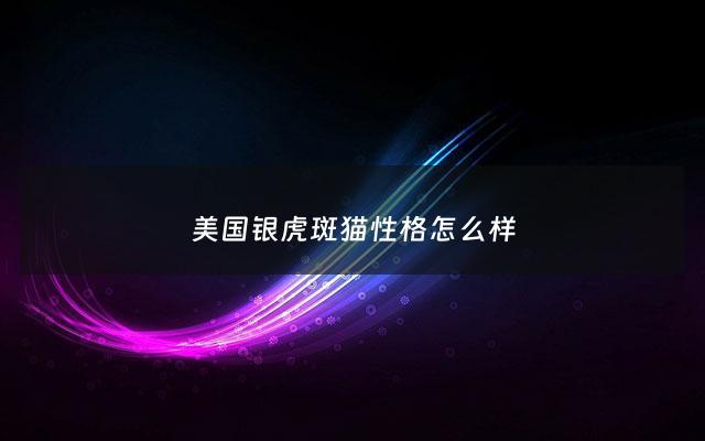 ***银虎斑猫性格怎么样 - ***银虎斑猫性格怎么样啊