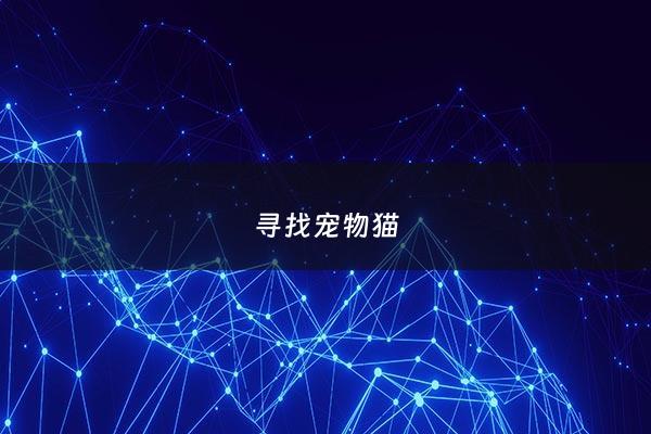 寻找宠物猫 - 寻找猫咪