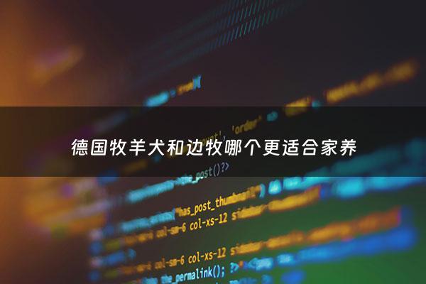 德国牧羊犬和边牧哪个更适合家养 - 德国牧羊犬和边牧哪个好