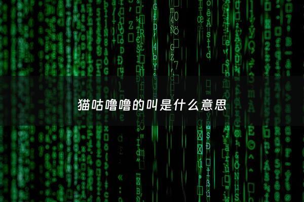 猫咕噜噜的叫是什么意思 - 猫咕噜咕噜的叫怎么回事
