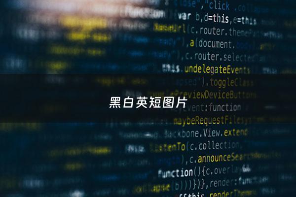 黑白英短图片 - 黑白英短幼猫图片