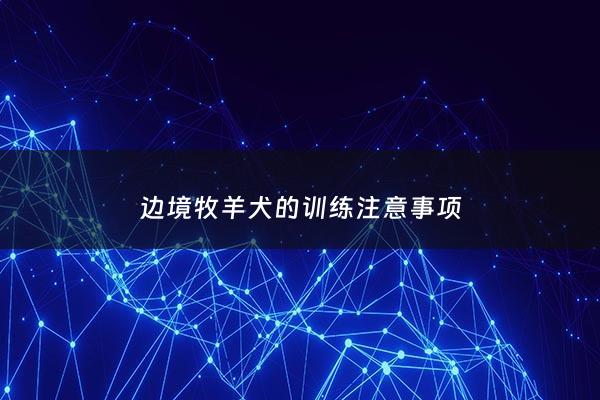 边境牧羊犬的训练注意事项 - 边境牧羊犬的驯养