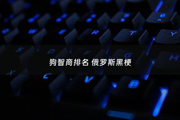 狗智商排名 俄罗斯黑梗 - 狗界智商排名第一