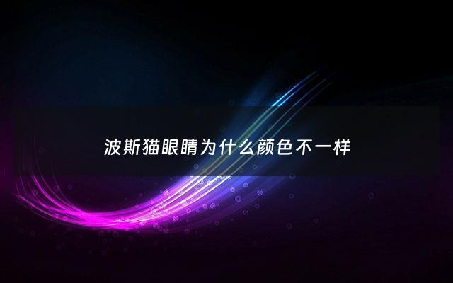 波斯猫眼睛为什么颜色不一样 - 波斯猫眼睛会变色吗