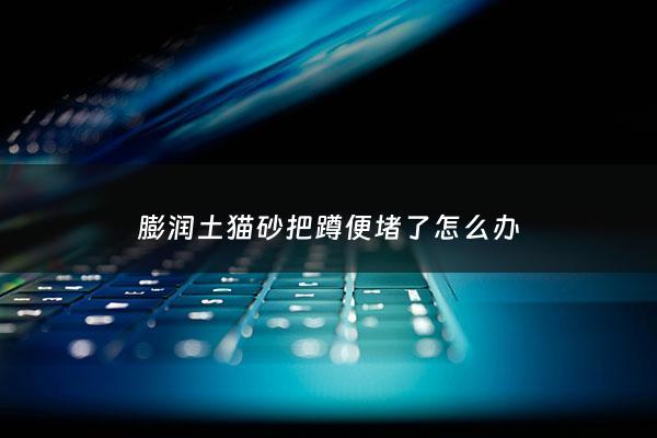 膨润土猫砂把蹲便堵了怎么办 - 膨润土猫砂堵住下水道怎么办