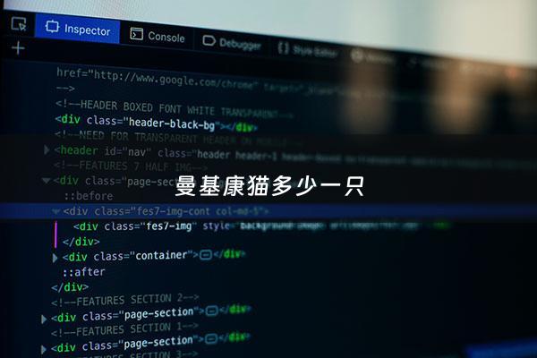 曼基康猫多少一只 - 曼基康猫的价格
