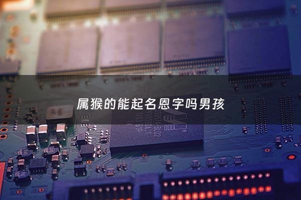 属猴的能起名恩字吗男孩 - 属猴的能起名恩字吗男孩子