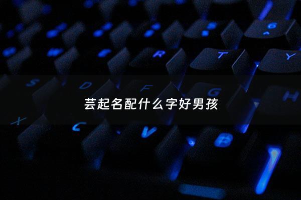 芸起名配什么字好男孩 - 芸字配什么字,适合女孩的名字