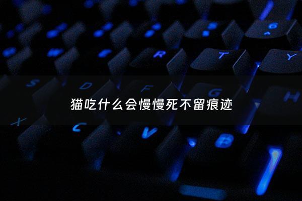 猫吃什么会慢慢死不留痕迹 - 猫猫吃什么会死