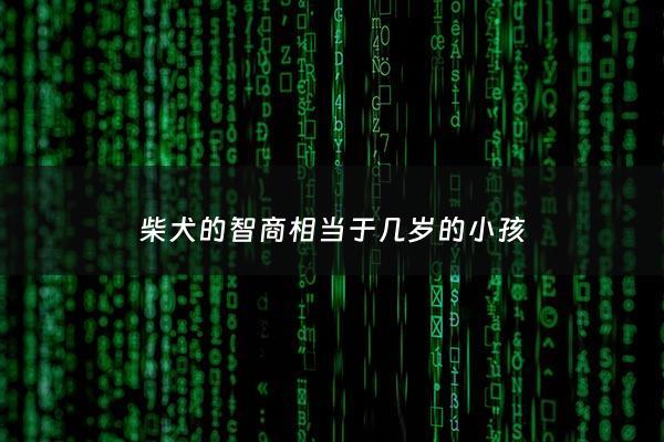 柴犬的智商相当于几岁的小孩 - 柴犬智商等于几岁