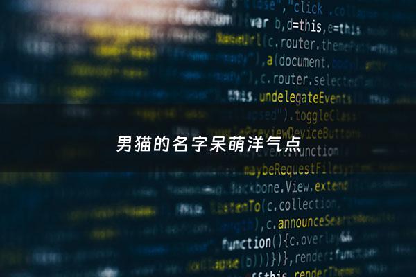 男猫的名字呆萌洋气点 - 男猫咪的名字独特一点
