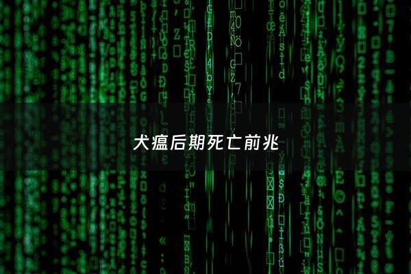 犬瘟后期死亡前兆 - 犬瘟后期死亡前兆是什么