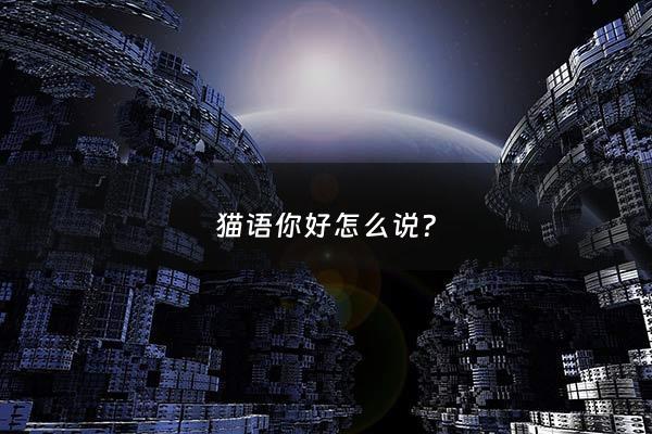 猫语你好怎么说? - (猫语):你好