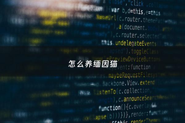 怎么养缅因猫 - 养缅因猫的5大危害