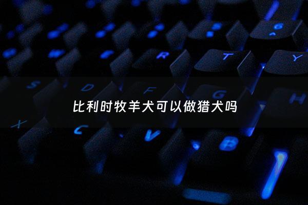 比利时牧羊犬可以做猎犬吗 - 比利时牧羊犬可以做猎犬吗***