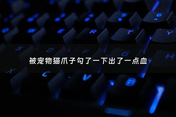 被宠物猫爪子勾了一下出了一点血 - 被宠物猫爪子勾破了