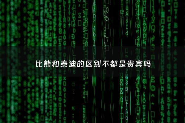 比熊和泰迪的区别不都是贵宾吗 - 比熊和泰迪的区别哪个贵