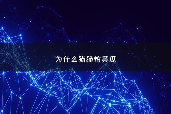 为什么猫猫怕黄瓜 - 为什么猫会怕黄瓜?