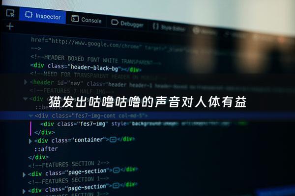 猫发出咕噜咕噜的声音对人体有益 - 猫发出咕噜咕噜的声音叫什么