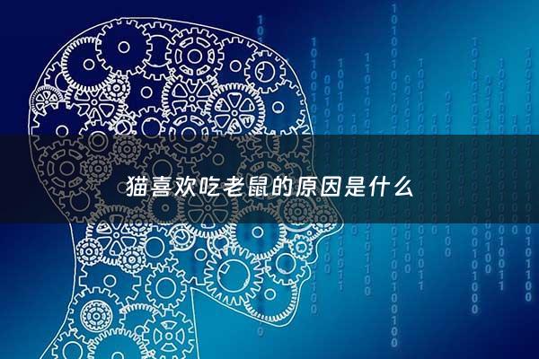 猫喜欢吃老鼠的原因是什么 - 猫喜欢吃老鼠是因为老鼠体内有什么物质