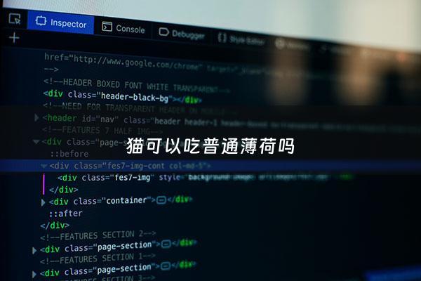 猫可以吃普通薄荷吗 - 猫可以吃薄荷嘛