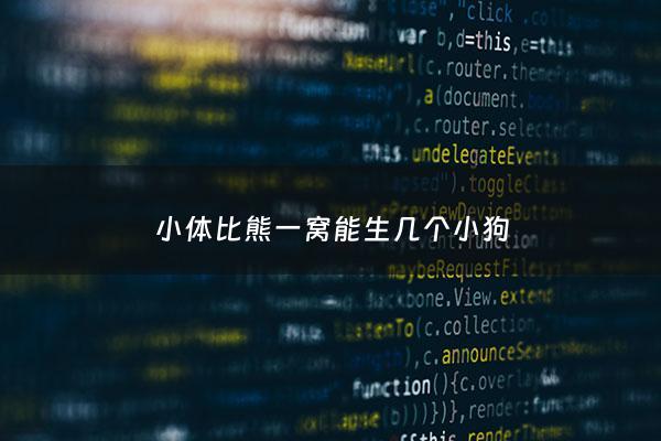 小体比熊一窝能生几个小狗 - 小体比熊最多能长几斤