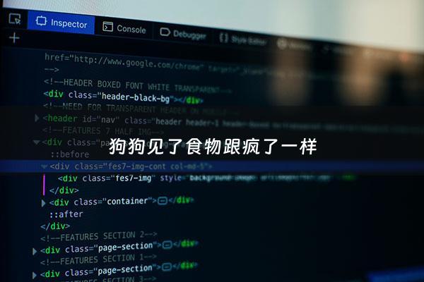 狗狗见了食物跟疯了一样 - 狗见了吃的东西就跟疯了一样