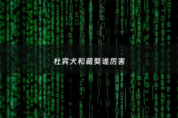 杜宾犬和藏獒谁厉害 - 藏獒与杜高犬打架******