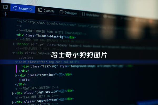 哈士奇小狗狗图片 - 哈士奇的图